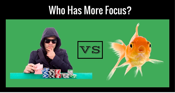 Who has more focus?